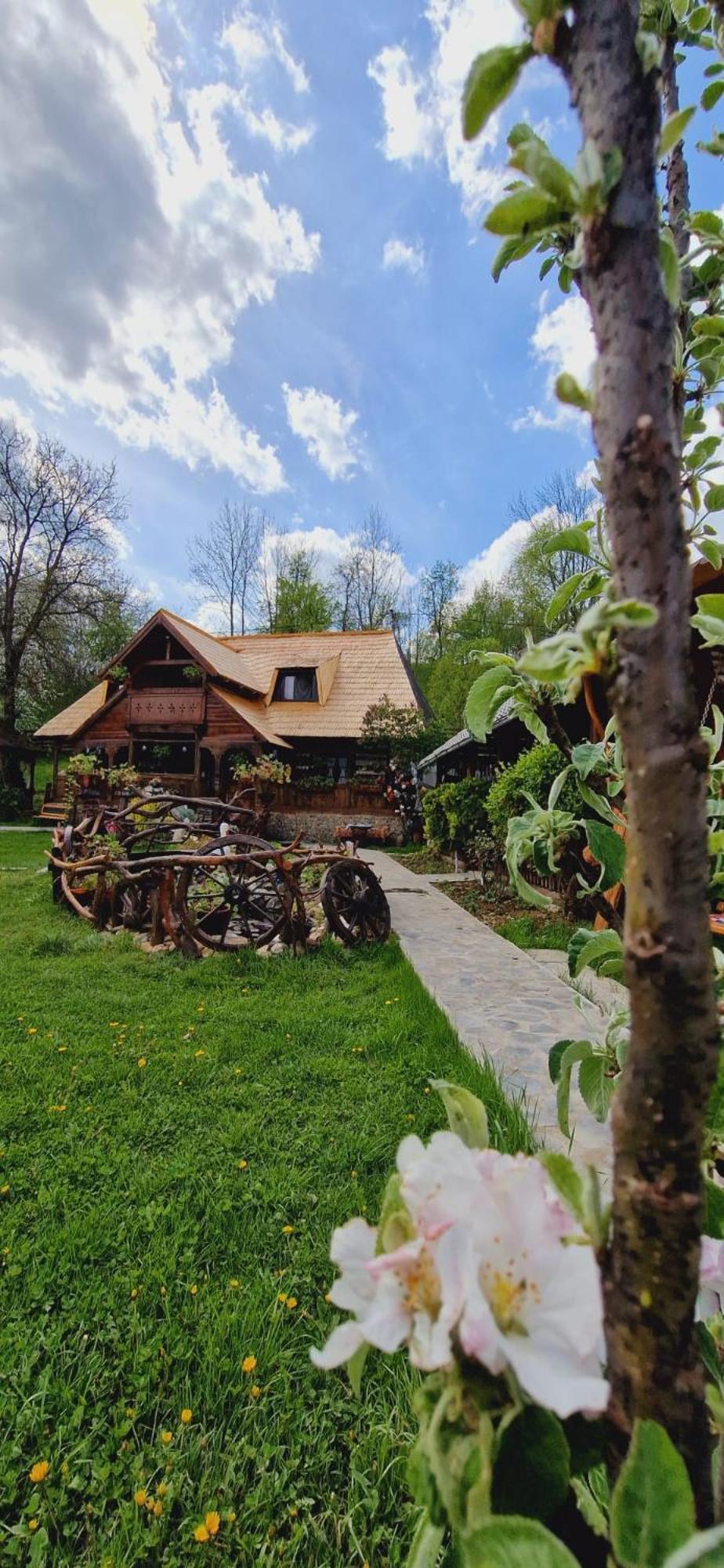 Pensiunea Rustic Oncesti Exterior foto
