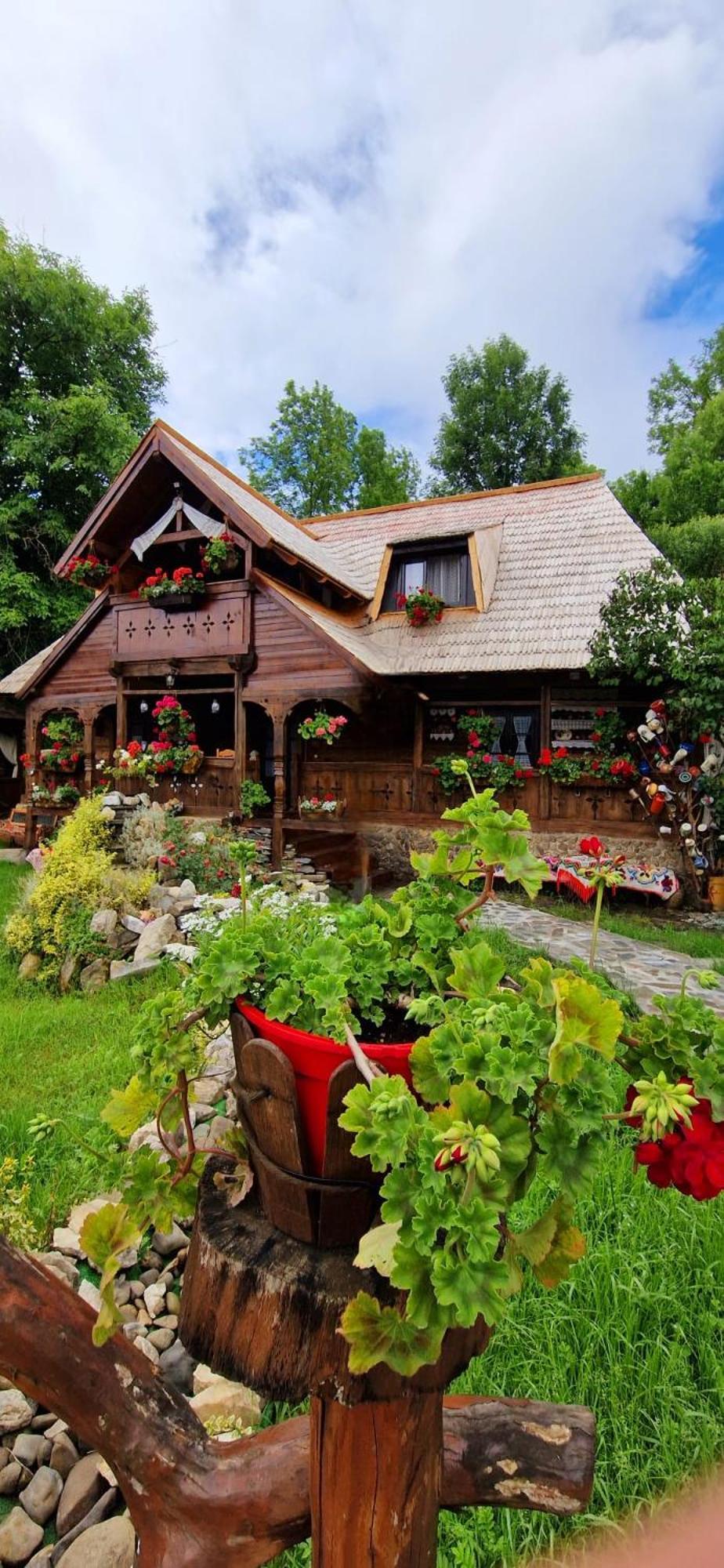 Pensiunea Rustic Oncesti Exterior foto