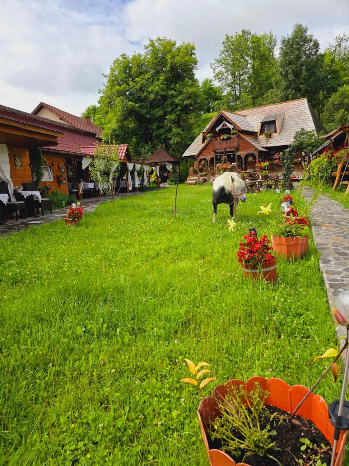 Pensiunea Rustic Oncesti Exterior foto